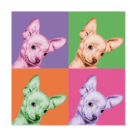 Jon Bertelli 'Sweet Chihuahua Pop' Canvas Art,35x35